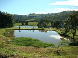 Lago para Pesca